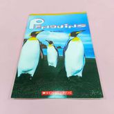 หนังสือ Penguins by Janet Reed SCHOLASTIC