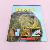 หนังสือ Beavers And Other Animals With Amazing Teeth By Susan Labella  SCHOLASTIC