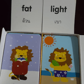 Flash cards opposites