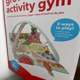 play gym