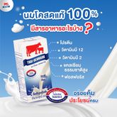 นมไทย-เดนมาร์ค รสจืด ขนาด 250ml. บรรจุ 12 กล่อง