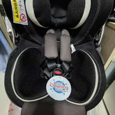 Car Seat ~ Ailebebe Kurutto 4S (Grace)