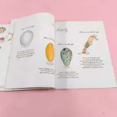 หนังสือเด็กภาษาอังกฤษ An Egg is Quiet