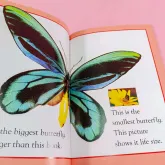 Kingfisher Readers L1: Butterflies