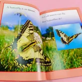 Kingfisher Readers L1: Butterflies