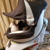 Carseat ailebebe kurutto nt2