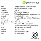 Tender Leaf Toys ของเล่นไม้ บ้านตุ๊กตา ชุดเรือนไม้และสวนผัก Greenhouse and Garden Set