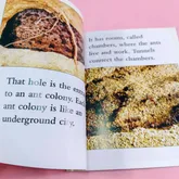 หนังสือ Inside an Ant Colony 