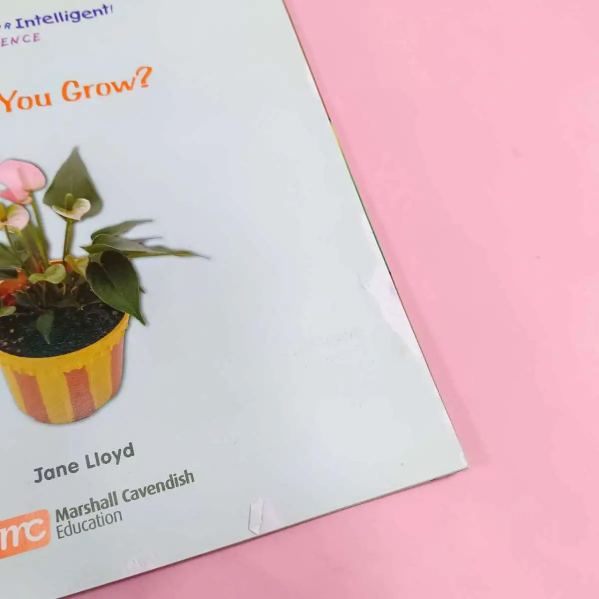 หนังสือเด็กภาษาอังกฤษ How Do You Grow?