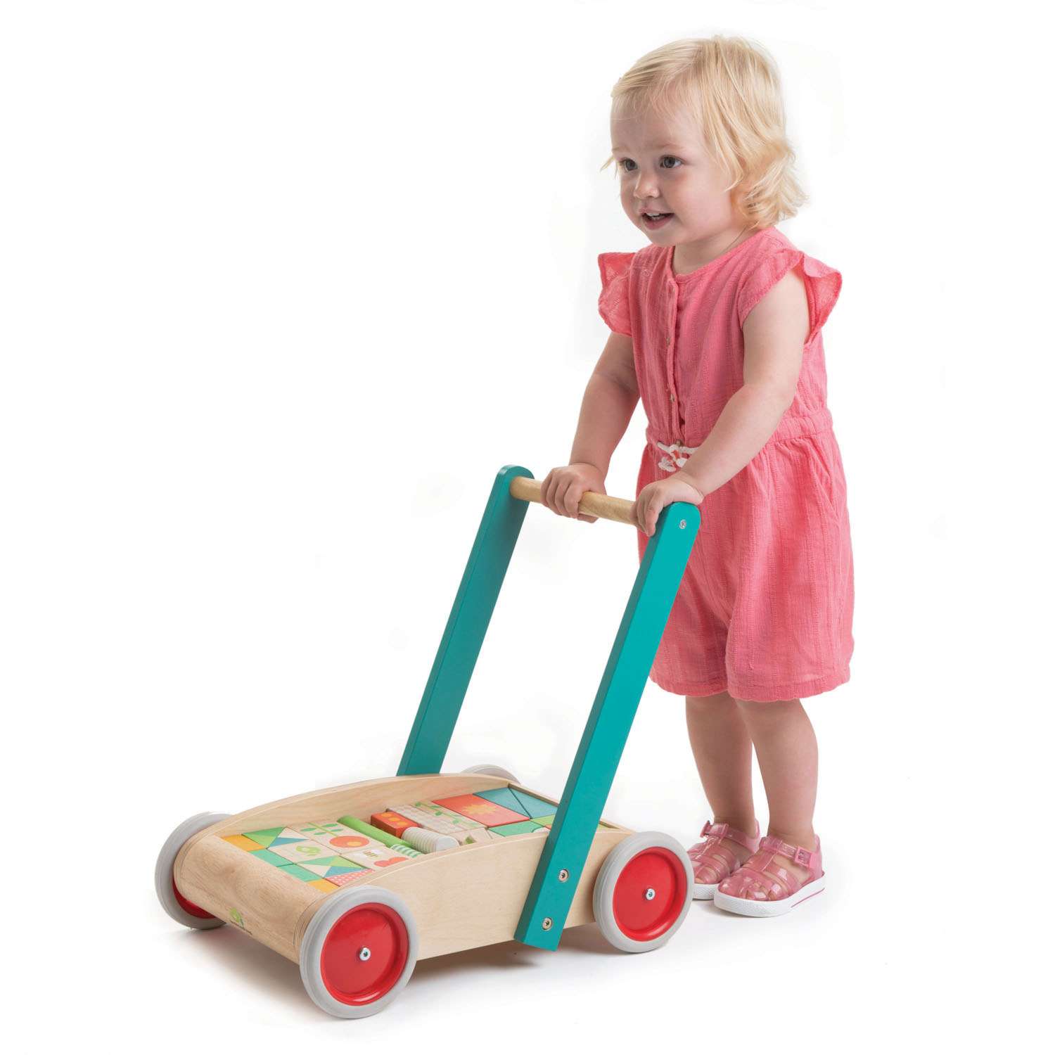 Tender Leaf Toys ของเล่นไม้ ของเล่นเด็กเล็ก รถเข็นฝึกเดินพร้อมบล็อก Baby Block Walker