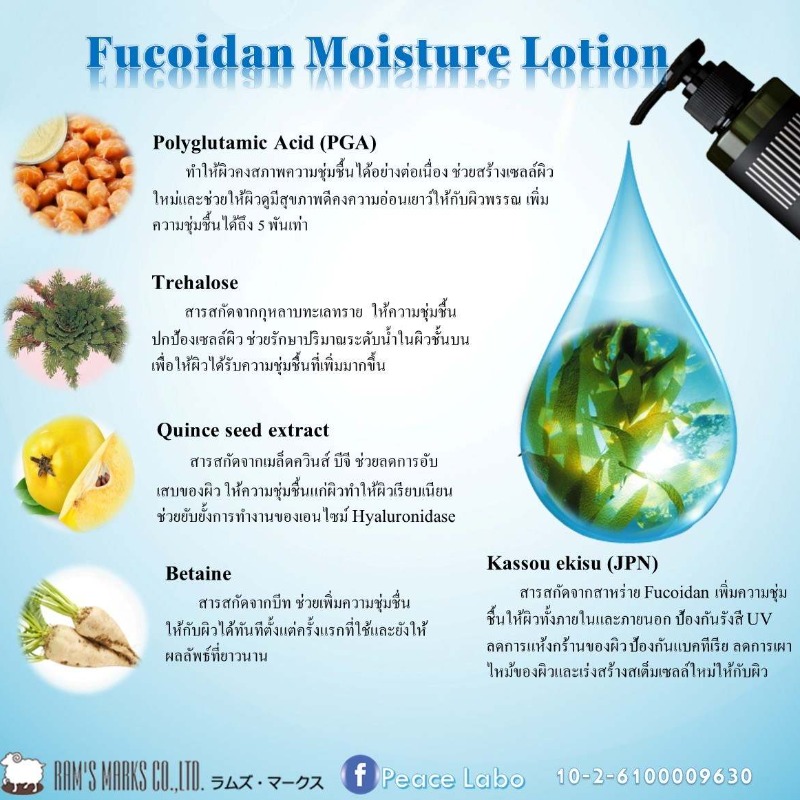 Fucoidan Moisture Lotion 200ml โลชั่นสำหรับผิวแห้ง ผิวแพ้ง่าย ผื่นภูมิแพ้ และผิวที่ต้องการบำรุง