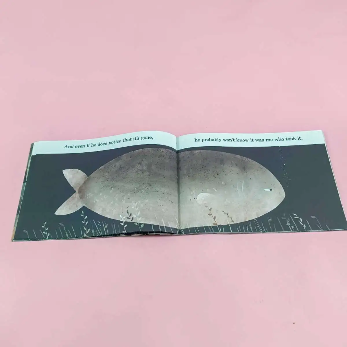 หนังสือนิทานภาษาอังกฤษ  This is not my hat Jon Klassen