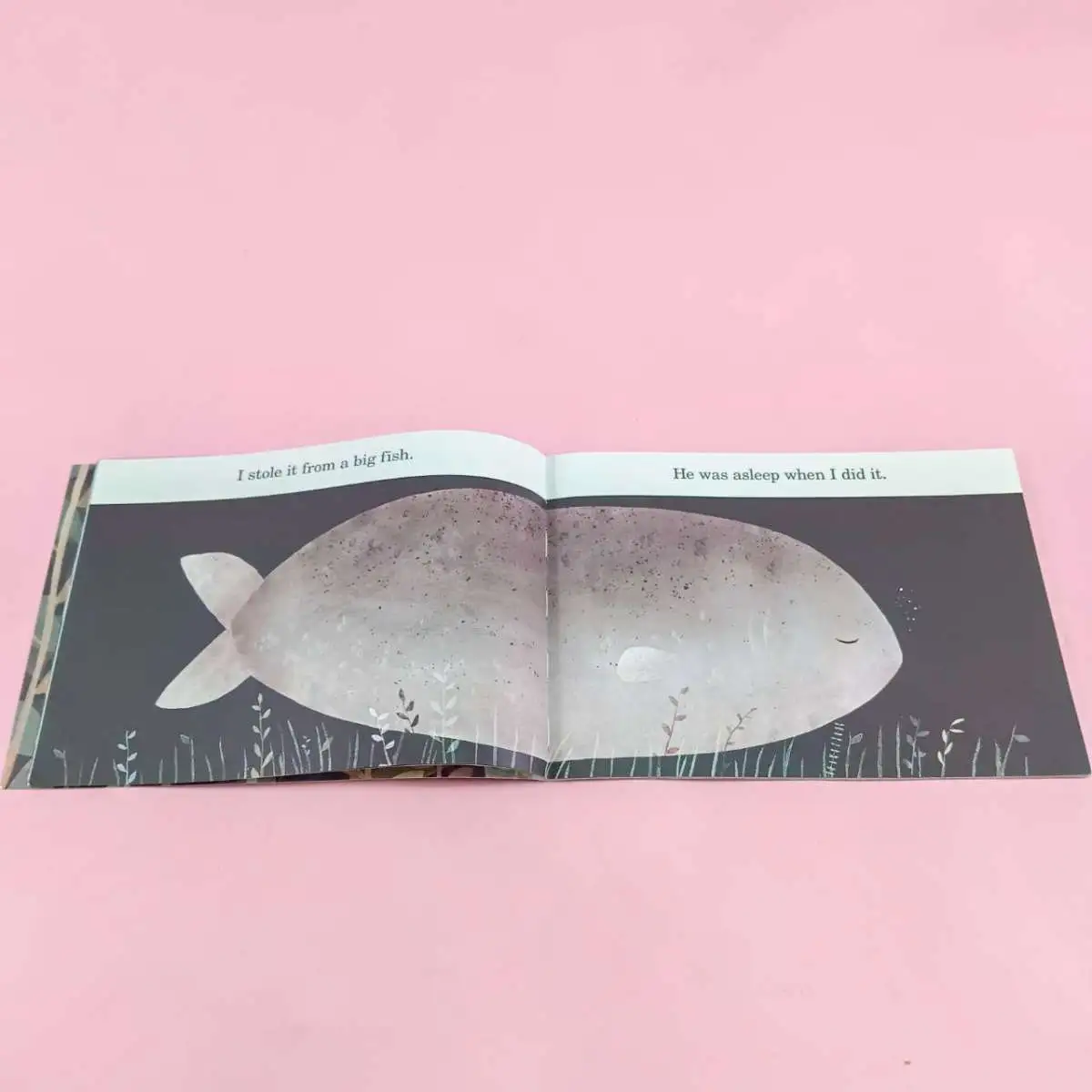 หนังสือนิทานภาษาอังกฤษ  This is not my hat Jon Klassen